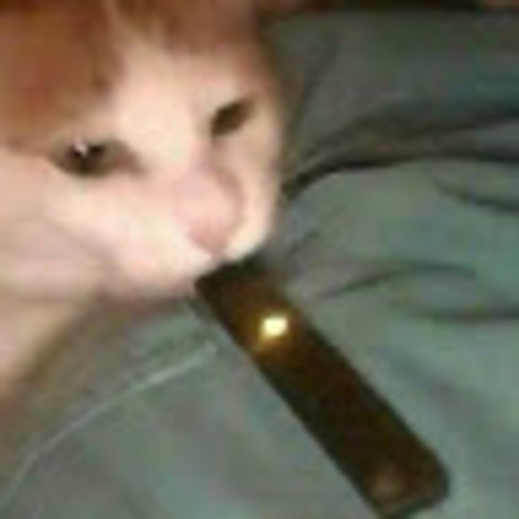 Meet your Posher, Dehandra - Picture 1 of 1